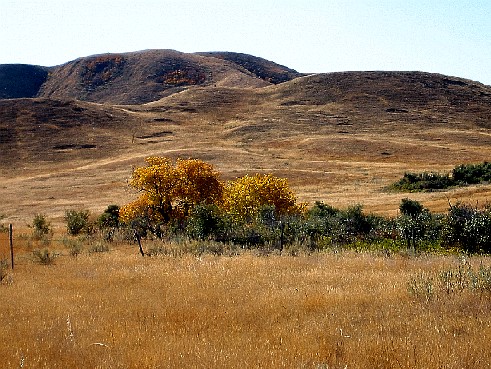 Sask Landing Provincial Park Photo Gallery